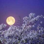 ヒメ日記 2025/04/14 15:12 投稿 遠藤（えんどう） 熟女の風俗最終章 大宮店