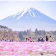 ヒメ日記 2025/05/18 23:45 投稿 遠藤（えんどう） 熟女の風俗最終章 大宮店