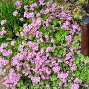 ヒメ日記 2025/05/20 19:35 投稿 遠藤（えんどう） 熟女の風俗最終章 大宮店