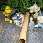 ヒメ日記 2025/07/17 00:15 投稿 遠藤（えんどう） 熟女の風俗最終章 大宮店