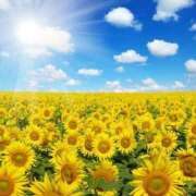 ヒメ日記 2025/08/21 23:35 投稿 遠藤（えんどう） 熟女の風俗最終章 大宮店