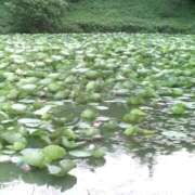 ヒメ日記 2025/09/19 23:15 投稿 遠藤（えんどう） 熟女の風俗最終章 大宮店