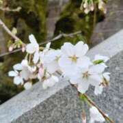 ヒメ日記 2025/09/29 23:35 投稿 遠藤（えんどう） 熟女の風俗最終章 大宮店