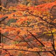 ヒメ日記 2025/11/10 00:05 投稿 遠藤（えんどう） 熟女の風俗最終章 大宮店