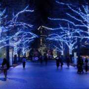 ヒメ日記 2026/01/09 23:52 投稿 遠藤（えんどう） 熟女の風俗最終章 大宮店