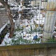 ヒメ日記 2026/02/08 18:45 投稿 遠藤（えんどう） 熟女の風俗最終章 大宮店