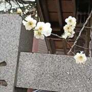 ヒメ日記 2026/03/08 23:05 投稿 遠藤（えんどう） 熟女の風俗最終章 大宮店