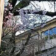 ヒメ日記 2026/03/11 00:15 投稿 遠藤（えんどう） 熟女の風俗最終章 大宮店