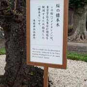 ヒメ日記 2026/03/13 23:25 投稿 遠藤（えんどう） 熟女の風俗最終章 大宮店