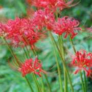 ヒメ日記 2026/03/20 23:58 投稿 遠藤（えんどう） 熟女の風俗最終章 大宮店