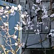 ヒメ日記 2026/03/24 00:15 投稿 遠藤（えんどう） 熟女の風俗最終章 大宮店