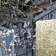 ヒメ日記 2026/03/25 00:05 投稿 遠藤（えんどう） 熟女の風俗最終章 大宮店