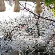 ヒメ日記 2026/03/28 23:51 投稿 遠藤（えんどう） 熟女の風俗最終章 大宮店