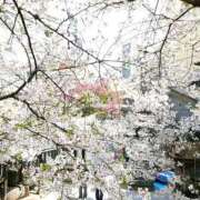 ヒメ日記 2026/03/30 23:55 投稿 遠藤（えんどう） 熟女の風俗最終章 大宮店