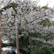 ヒメ日記 2026/04/02 23:55 投稿 遠藤（えんどう） 熟女の風俗最終章 大宮店