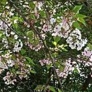 ヒメ日記 2026/04/09 23:55 投稿 遠藤（えんどう） 熟女の風俗最終章 大宮店