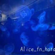 ヒメ日記 2024/05/03 19:01 投稿 ほたる 究極の素人専門店Alice-アリス-