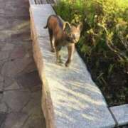 ヒメ日記 2025/08/04 19:00 投稿 ふうか 奥様鉄道69 岡山店