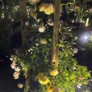 ヒメ日記 2025/10/17 18:59 投稿 ふうか 奥様鉄道69 岡山店