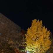 ヒメ日記 2025/10/29 21:54 投稿 ふうか 奥様鉄道69 岡山店