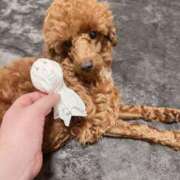 ヒメ日記 2025/07/19 12:30 投稿 藤堂つかさ ミセス大阪十三店