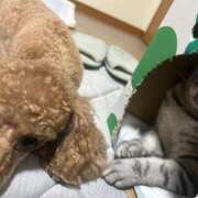 ヒメ日記 2025/10/01 14:30 投稿 藤堂つかさ ミセス大阪十三店