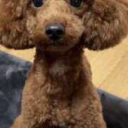 ヒメ日記 2025/10/23 10:00 投稿 藤堂つかさ ミセス大阪十三店