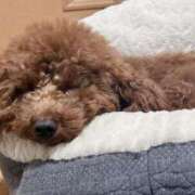 ヒメ日記 2025/10/23 17:30 投稿 藤堂つかさ ミセス大阪十三店