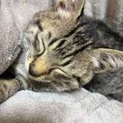 ヒメ日記 2025/11/10 13:00 投稿 藤堂つかさ ミセス大阪十三店