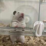 ヒメ日記 2025/12/05 20:00 投稿 藤堂つかさ ミセス大阪十三店