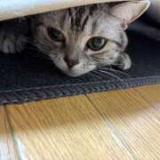 ヒメ日記 2025/12/08 22:21 投稿 藤堂つかさ ミセス大阪十三店