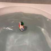 ヒメ日記 2025/12/29 03:23 投稿 藤堂つかさ ミセス大阪十三店