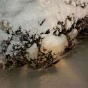 ヒメ日記 2026/01/12 00:19 投稿 藤堂つかさ ミセス大阪十三店