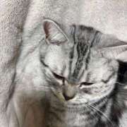 ヒメ日記 2026/02/10 08:02 投稿 藤堂つかさ ミセス大阪十三店