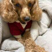 ヒメ日記 2026/02/12 12:58 投稿 藤堂つかさ ミセス大阪十三店