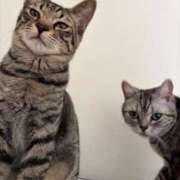 ヒメ日記 2026/02/18 23:27 投稿 藤堂つかさ ミセス大阪十三店