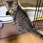 ヒメ日記 2026/03/02 20:02 投稿 藤堂つかさ ミセス大阪十三店