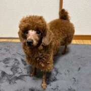 ヒメ日記 2026/03/05 11:01 投稿 藤堂つかさ ミセス大阪十三店