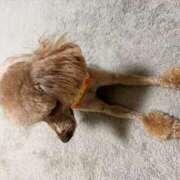 ヒメ日記 2026/03/14 23:03 投稿 藤堂つかさ ミセス大阪十三店