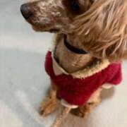 ヒメ日記 2026/03/16 23:39 投稿 藤堂つかさ ミセス大阪十三店