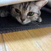 ヒメ日記 2026/03/30 22:57 投稿 藤堂つかさ ミセス大阪十三店