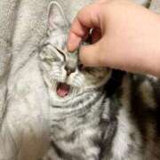 ヒメ日記 2026/04/18 00:29 投稿 藤堂つかさ ミセス大阪十三店