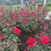 ヒメ日記 2025/05/08 19:30 投稿 みちる 新大阪秘密倶楽部