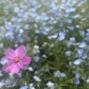 ヒメ日記 2025/05/29 15:50 投稿 みちる 新大阪秘密倶楽部