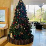 ヒメ日記 2024/12/24 06:02 投稿 咲子 Lip Trip