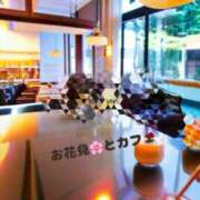 ヒメ日記 2025/04/08 12:11 投稿 咲子 Lip Trip