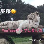 ヒメ日記 2025/05/17 01:12 投稿 咲子 Lip Trip