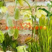 ヒメ日記 2025/06/09 16:08 投稿 咲子 Lip Trip