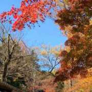 ヒメ日記 2025/10/17 11:24 投稿 咲子 Lip Trip