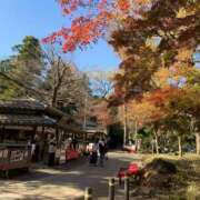 ヒメ日記 2025/11/03 15:44 投稿 咲子 Lip Trip